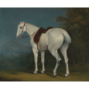 Jacques-Laurent Agasse : A Lady&#39;s Grey Hunter (c. 1806) - Giclee Fine Art Print