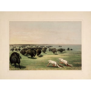 George Catlin&#39;s North American Indian Portfolio : Buffalo Hunt with Wolf-Skin Mask (1844) - Giclee Fine Art Print