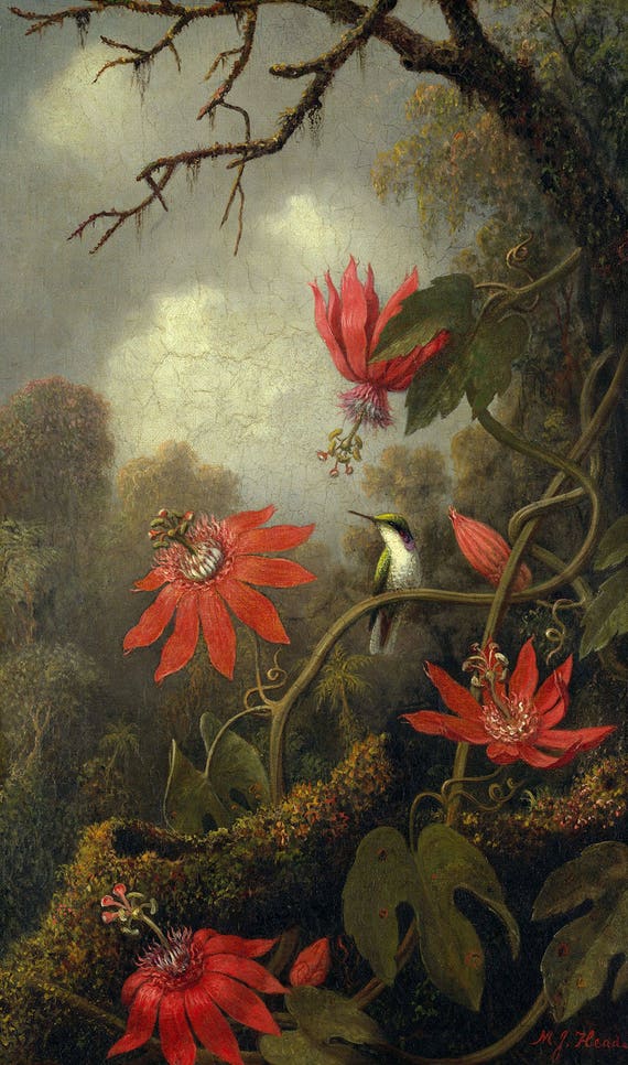 Cattleya Orchid 3 Brazilian Hummingbirds Heade 100/% Cotton Canvas Picture Print