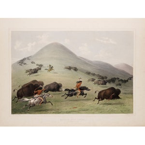George Catlin&#39;s North American Indian Portfolio : Buffalo Hunt, Chase. (1844) - Giclee Fine Art Print