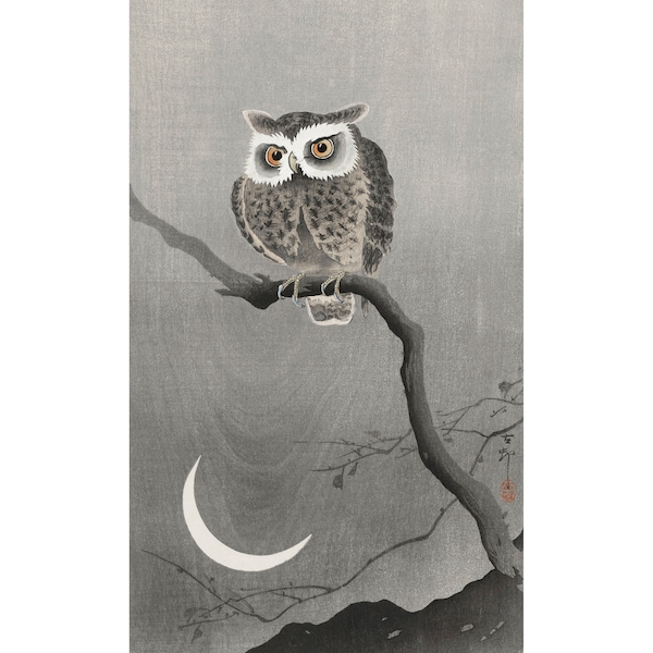 Ohara Koson : Long-eared Owl on a Bare Tree Branch (undated) - Giclee Fine Art Print