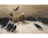 Article de cette boutique