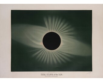 Etienne Leopold Trouvelot : Total Eclipse of the Sun (The Trouvelot Astronomical Drawings, 1882) - Giclee Fine Art Print