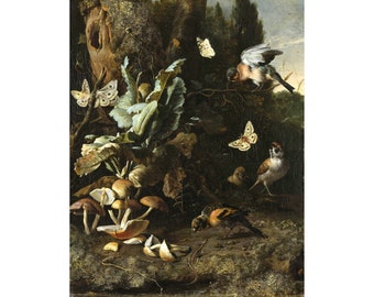 Melchior de Hondecoeter : Animales y plantas (c. 1668) - Giclee Fine Art Print