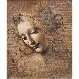 Leonardo da Vinci : Head of a Young Woman with Tousled Hair (Leda) (undated) - Giclee Fine Art Print