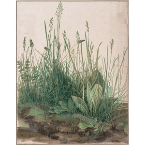 Albrecht Durer : The Great Piece of Turf (1503) - Giclee Fine Art Print