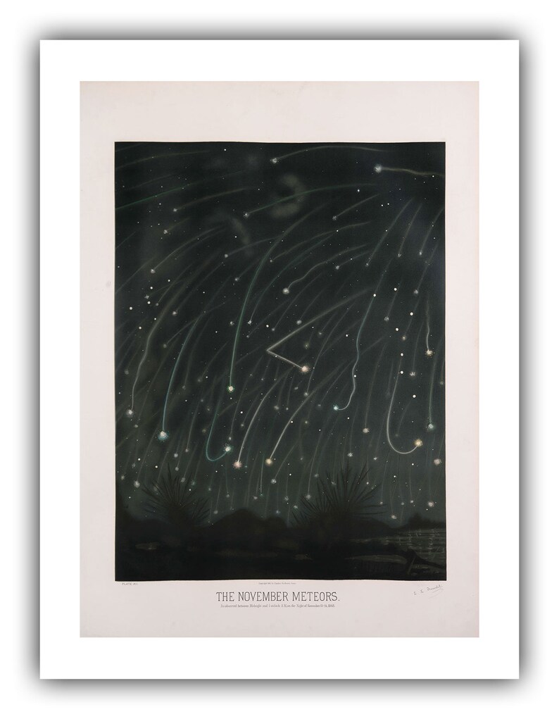 May include: A vintage illustration depicting a night sky filled with streaks of light from the November meteors. The image is titled "The November Meteors" and includes the date "Observed from Bridge and Lowell, on the Night of November 13, 1833."