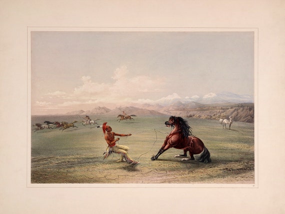 /"Buffalo Hunt Catlin North American Indian Portfolio Chase/" — Fine Art Print