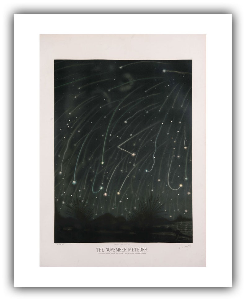 May include: A vintage illustration depicting a night sky filled with streaks of light from the November meteors. The image is in black and white with a dark background and white streaks of light. The text "THE NOVEMBER METEORS" is at the bottom of the image.