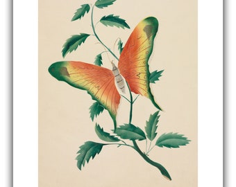 BARAHMASA　（バラマサ絵画）12ヶ月 ART EXHIBITION: NAGASAKA MAGO | BARNEYS NEW YORK OFFICIAL SITE