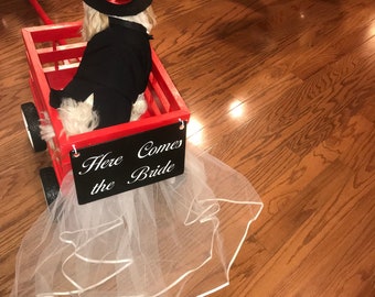 Custom Dog Tux:  Tuxedo with Top hat, I was absolutely thrilled when the happy couple sent me these photos,