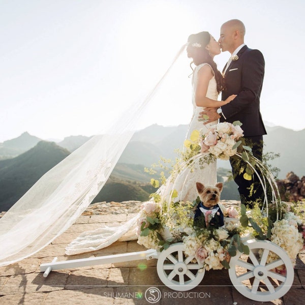 Vestiti per cani su misura: incontra il piccolo Hiro nel suo smoking blu e guarda la sua splendida mummia e papà umani. wow che matrimonio,