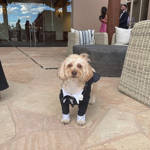 Tuxedos for all size dogs, look how handsome  these two best friends are , what can be better than having your best friend as your best man.