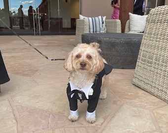 Tuxedos for all size dogs, look how handsome  these two best friends are , what can be better than having your best friend as your best man.