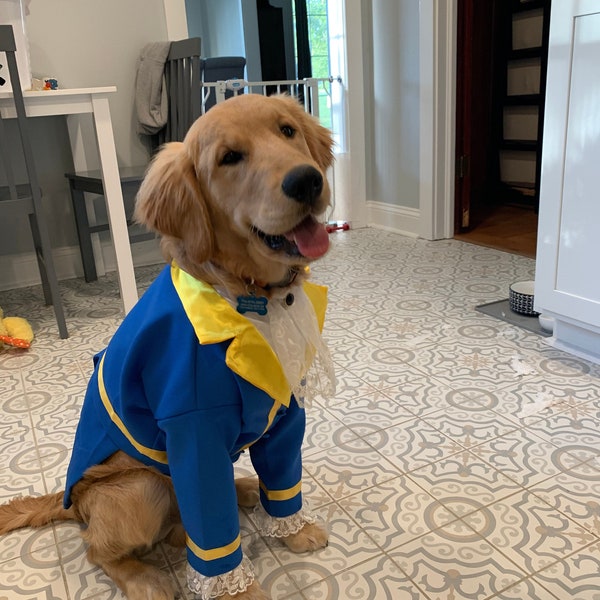 Oliver in his Beast costume