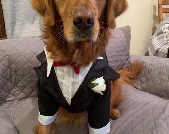 tuxedos for all size dogs