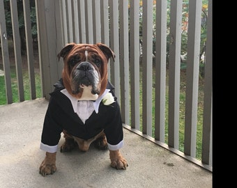 Bulldog tuxedo look how smart these three bull dogs look in their tuxedos, all made to any  size