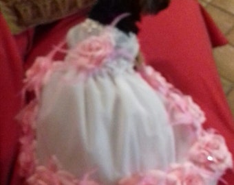 Doggy dress ideal for Christmas party, Graduation dress , wedding dress or bridesmaid dress