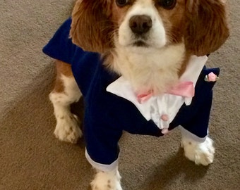 Here we Have Riley  all ready for mummy's big day in  royal Blue tuxedo, white satin shirt and Blush bow tie, with Blush button to match