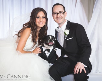 Dog Tuxedo. Here is Handsome  little Pete, Marching down the isle, what an awesome guy he looks in his tuxedo.