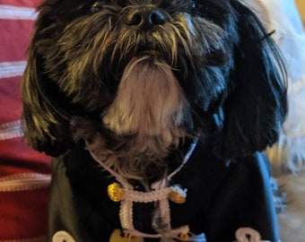 Meet Mr Pepper dressed as Sargent Pepper