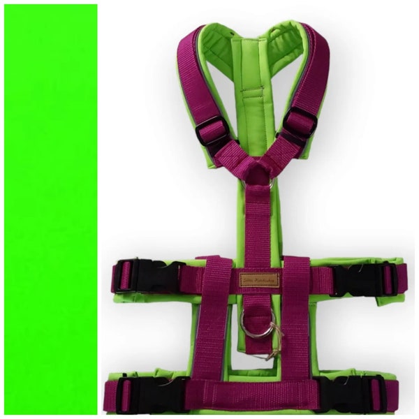 Extension to the safety harness “neon green-magenta with reflector”