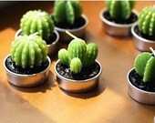 Succulent Cactus Plant Candles For Art Craft Home or Table Decor Rare New Mini 6pcs in a lot