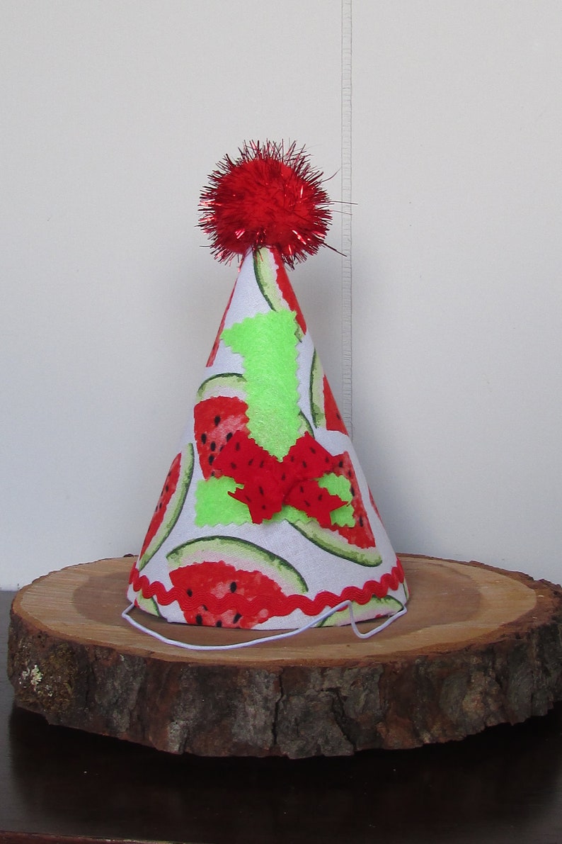 Watermelon First Birthday Hat Watermelon Party Hat One in a Etsy