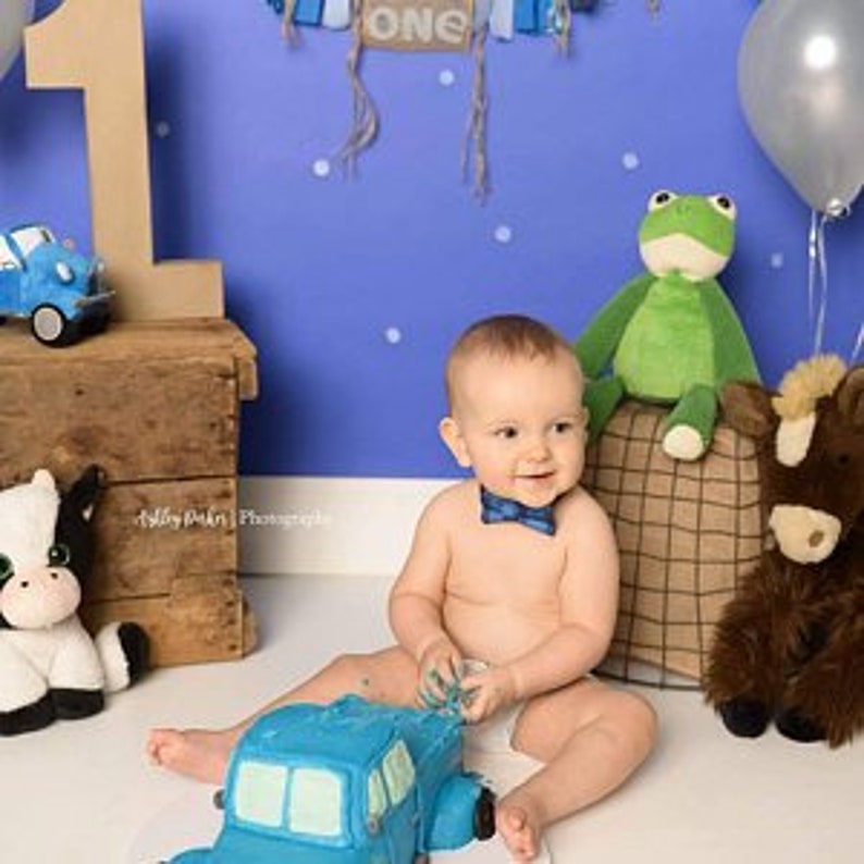 May include: A baby wearing a blue plaid bowtie sits on a white floor with a blue truck-shaped cake, a large wooden number one, a plush green frog, a plush black and white cow, a plush brown donkey, and a silver balloon against a blue wall.