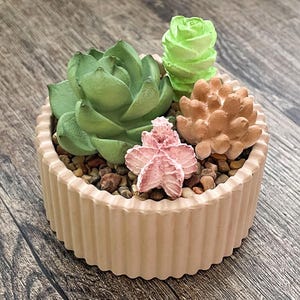 Succulent Haven | DIY Succulent Aroma Stone Kit | Handmade Essential Oil Diffuser | Plaster Pot & Pebble Decor | Calming Home Decor