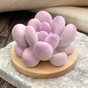 May include: A small, sculpted succulent figurine featuring rounded, fleshy leaves in a soft gradient of pale pink and lavender. The plant is mounted on a circular, light-colored wooden base, creating a compact, decorative botanical ornament.