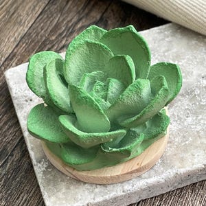 May include: A sculpted green succulent plant figure with layered, rounded leaves in varying shades of light and dark green. The plant is attached to a circular, light-colored wooden base, creating a compact and decorative botanical ornament.
