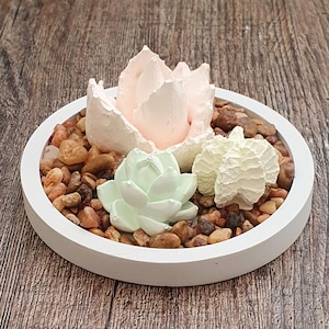 May include: A white, round planter filled with small, brown pebbles and three decorative succulents. The succulents are light pink, light green, and white, and are arranged in the center of the planter. The planter is on a wooden surface.