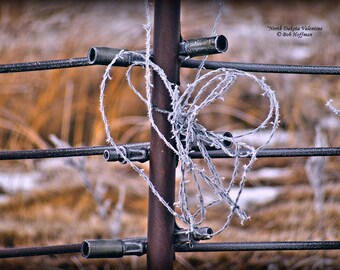 North Dakota Valentine