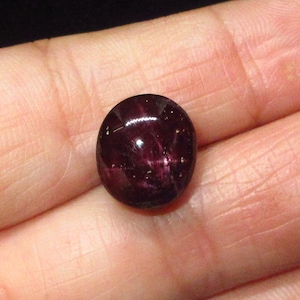 Könnte beinhalten: Ein tiefroter Sternrubin-Cabochon-Edelstein mit einem sechsstrahligen Stern.