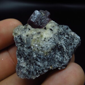 May include: A dark red crystal on a gray and white rock matrix. The crystal is sharp and has a rough texture.