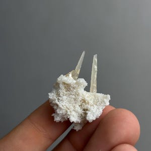 以下が含まれることがあります： 半透明で淡い黄色の針状の結晶の先端が2つ突き出た小さな鉱物標本。粗い白い結晶質の塊から構成されており、ギザギザとした多孔質の質感と不規則で有機的な形状が特徴です。