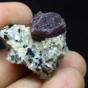 May include: A deep red ruby crystal on a matrix of white and black minerals. The ruby is a well-formed crystal with a sharp point. The matrix is rough and textured.