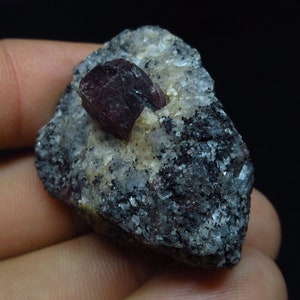 May include: A dark grey rock with a large, dark red crystal embedded in it. The crystal has a sharp, angular shape.