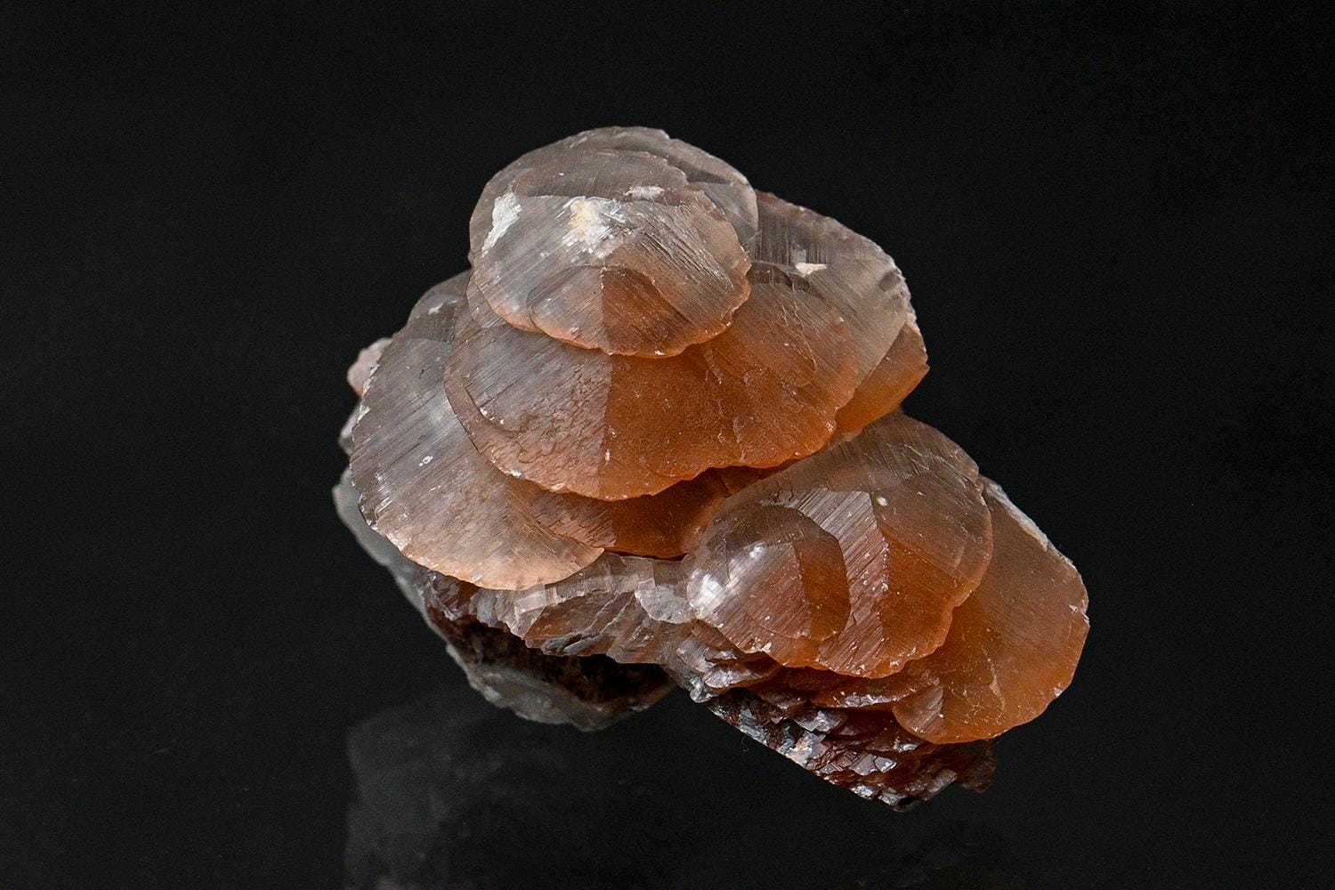 AshwiniMinerals - Etsy 日本