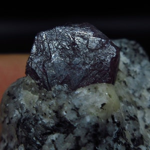 以下が含まれることがあります： 灰色と白の岩石の母岩にセットされた、ざらざらとした質感のある暗い紫色のルビーの結晶