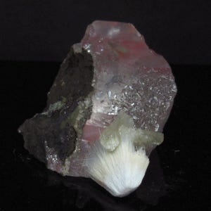 Puede incluir: Un grupo de cristales rosas, transparentes y blancos con una matriz mineral verde y negra. Los cristales están dispuestos en un grupo con un cristal blanco y plumoso en el centro.