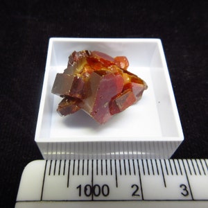 May include: A cluster of red and orange crystals in a white square display box. The crystals are translucent and have a glassy luster. The box is sitting on a white ruler with black markings.