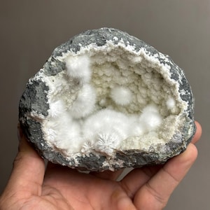 Puede incluir: Una geoda con una corteza exterior de color gris oscuro y rugosa, y un interior hueco revestido de pequeños cristales blancos brillantes. Varios grupos minerales distintos, esponjosos, blancos y aciculares crecen en las paredes.