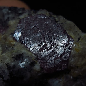 Könnte beinhalten: Nahaufnahme eines dunkelvioletten Rubinkristalls, der in eine Matrix aus grauem und weißem Gestein eingebettet ist. Der Rubin hat einen metallischen Glanz und ist von kleineren Kristallen umgeben.