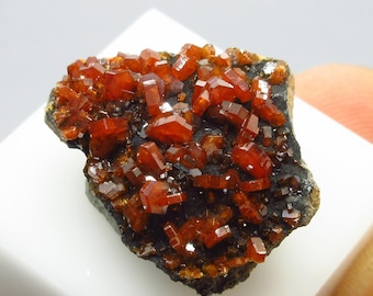 May include: A cluster of vibrant, orange-red vanadinite crystals on a dark matrix. The crystals are sharply defined, with a glassy luster, and are densely packed together. The mineral specimen is displayed on a white surface, showcasing its natural beauty.