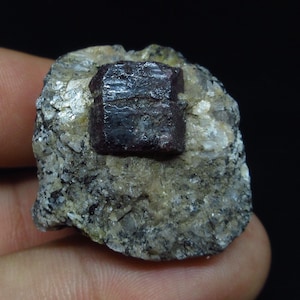 May include: A dark red, square-shaped gemstone embedded in a grey rock matrix. The gemstone has a smooth, polished surface and is surrounded by smaller, white crystals.