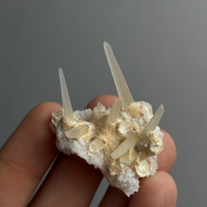 以下が含まれることがあります： オフホワイトとベージュの質感のある結晶質のベースから突き出た、細長く半透明の針状の結晶がいくつか特徴の鉱物標本。この構造は、淡い半透明の外観を持つ鋭く尖った形状を示しています。