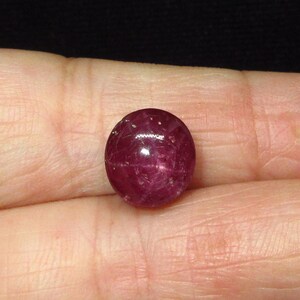 May include: A polished, oval-shaped ruby gemstone. The gem is a deep, saturated red color with subtle internal inclusions. The ruby is held in a hand, showcasing its size and color against the skin.
