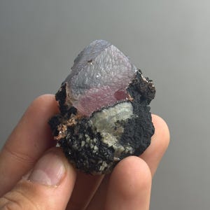 以下が含まれることがあります： 暗く多孔質な黒い火山岩の母岩に埋め込まれた、半透明の紫がかったピンク色の結晶体を持つ原石の標本。結晶は滑らかでわずかに光沢のある表面をしており、ざらざらとした質感の岩石と対照的です。